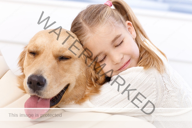 DOG food pic DOG food pic