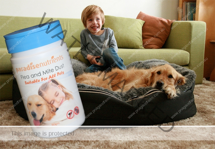 Pet flea -bedding-productx700 Pet flea -bedding-productx700