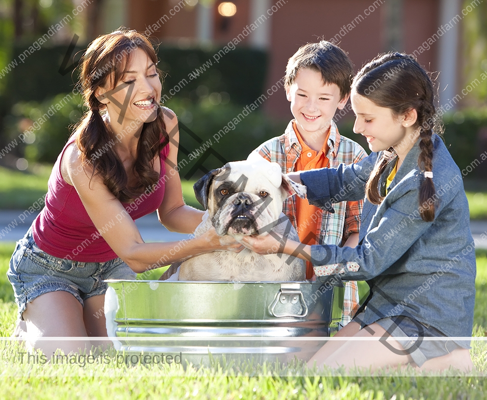 Mother Son & Daughter Family Washing Pet Dog In A Tub Mother Son & Daughter Family Washing Pet Dog In A Tub