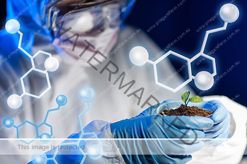 lab-plant-soil lab-plant-soil