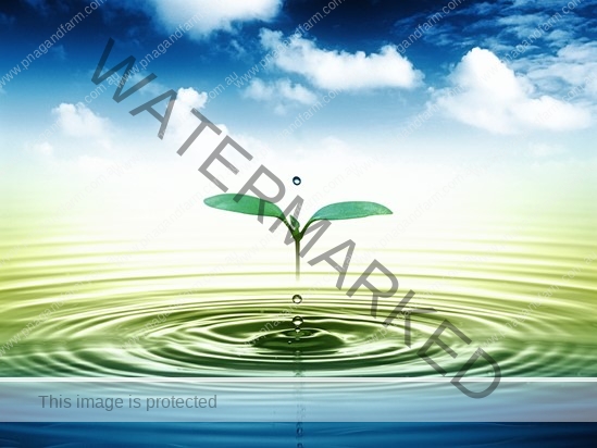 water water