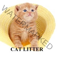 https://www.backyardchicken.com.au/wp-content/uploads/2016/11/C-CAT-LITTER-200x200.jpg