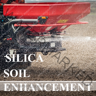 https://www.backyardchicken.com.au/wp-content/uploads/2016/11/C-SilicaSoil.jpg
