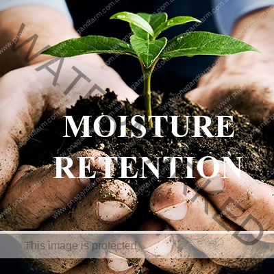 https://www.backyardchicken.com.au/wp-content/uploads/2016/11/C-moistureplant-hand.jpg