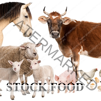 https://www.backyardchicken.com.au/wp-content/uploads/2016/11/C-stock-food.jpg