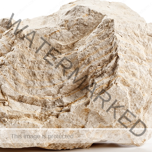 piece of diatomite - diatomadeous earth piece of diatomite - diatomadeous earth