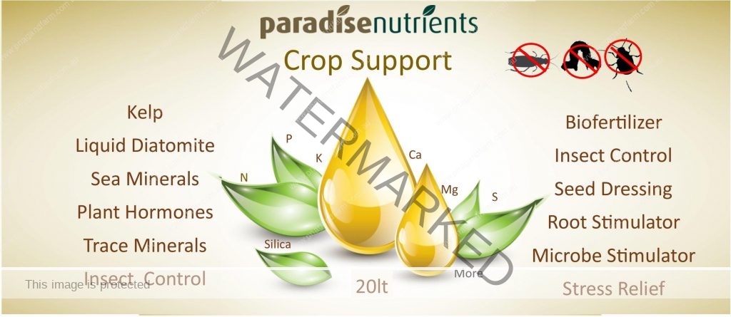PN Crop Support - Backyard Chicken