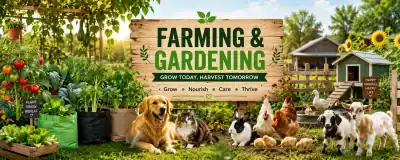 Backyard chicken farming and gardening with vegetable grow bags, chickens, pets and small farm animals in a productive home garden.
